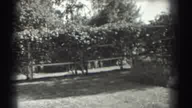 Southhampton New York (1937): View Of Trees And White Fence On A Sunny Day
