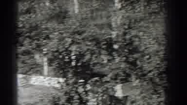 Southhampton New York (1937): Roadside Filming Plants And A Car While Waiting For
