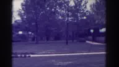 Atlantic City New Jersey (1938): Old Park With A Little Bit Of Trees With A Path