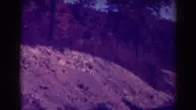 Blackwater Falls West Virginia (1938): Seeing The Great Outdoors Along The Road