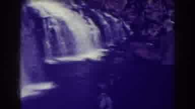 Blackwater Falls West Virginia (1938): Waterfalls Cascading Into A River That Runs