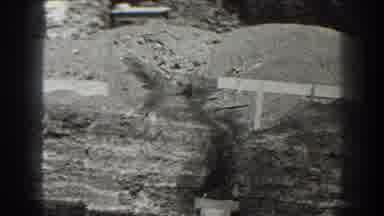 Cumberland Maryland (1938): This Video Is Super Amazing And Cool And Has Animals