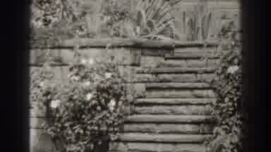 Cumberland Maryland (1938): Overgrown Plants Covering Old Stone Building Appears