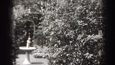 Cumberland Maryland (1938): View Of White Birdbath In Garden On A Sunny Day
