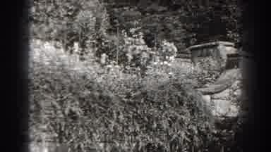 Cumberland Maryland (1938): Old Brick Wall Surrounded By Trees And Bushes