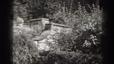 Cumberland Maryland (1938): View Of Wooden Object In Garden On A Sunny Day