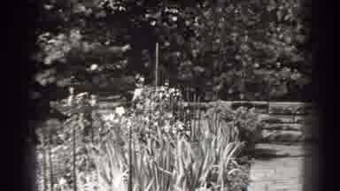 Cumberland Maryland (1938): Flowers And Trees With A Path