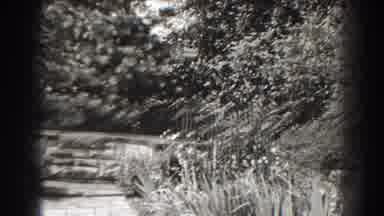 Cumberland Maryland (1938): View Of Flowers Trees And Stone Wall On A Bright Sunny