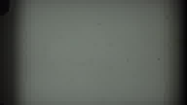 Martinsburg West Virginia (1938): Video Of A Pine Tree With Several Inches Of New