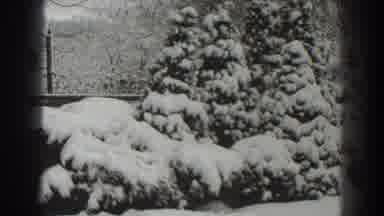 Martinsburg West Virginia (1938): Old Video Showing Trees Shrubs And Rocks Covered