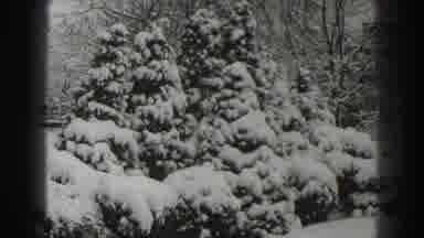Martinsburg West Virginia (1938): Eerie Winter's Snow On Trees