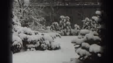 Martinsburg West Virginia (1938): Snowy Covered Trees Next To Old Brick Building