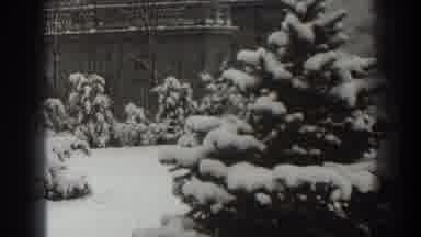 Martinsburg West Virginia (1938): Snow Landscape With A Pine Tree In Front And A
