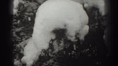 Martinsburg West Virginia (1938): Cold Weather Snow Covering Polar Bear