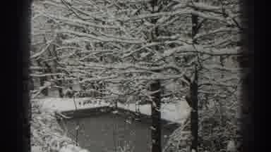 Martinsburg West Virginia (1938): Snow During Winter Wonderland Covers Nature And