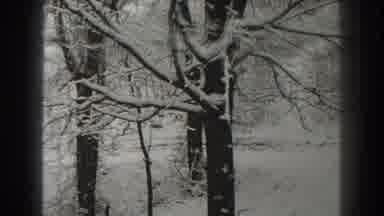 Martinsburg West Virginia (1938): Showing The Frosty Forest This Winter