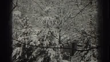Martinsburg West Virginia (1938): Lots Of Trees Somewhere And Lots Of Snow And
