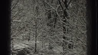 Martinsburg West Virginia (1938): Trees Without Leaves After The Blizzard