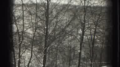Martinsburg West Virginia (1938): Trees Without Leaves Along The Way To The