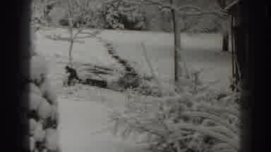 Martinsburg West Virginia (1938): Man Chops Wood In Snowy Forest Near House On