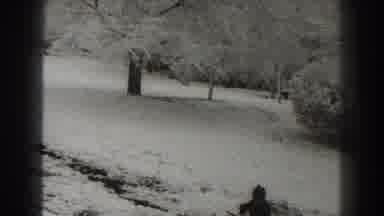 Martinsburg West Virginia (1938): Man Scrapes Stone In The Middle Of A Seemingly