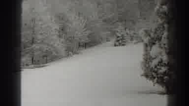 Martinsburg West Virginia (1938): Trees Covered By Snow