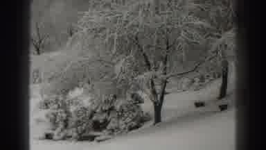 Martinsburg West Virginia (1938): Street Winter Wonderland After Last Night