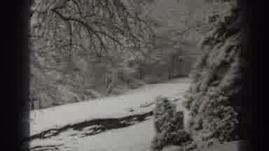 Martinsburg West Virginia (1938): The Camera Pans Across The Snow Covered Trees Of