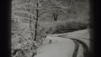 Martinsburg West Virginia (1938): Snow Trees Road Winter Cold Icy Forest White
