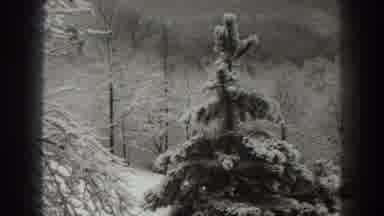 Martinsburg West Virginia (1938): Black And White Winter Landscape Scene In The