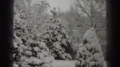 Martinsburg West Virginia (1938): Winter Season In Nature Covered In Snow