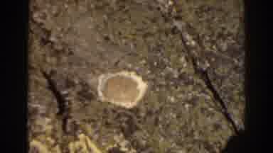 Mount Washington New Hampshire (1938): View Of Round Yellow Object On Green Field