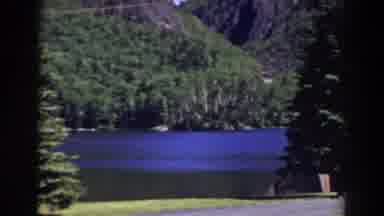 Mount Washington New Hampshire (1938): Beautiful Hills Many Plants Trees Clear Sky