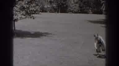 New Jersey (1938): A Beautiful Woman Playing With A Dog In A Beautiful Garden