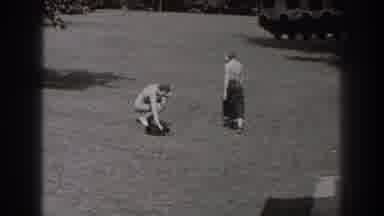 New Jersey (1938): Dog Canine Free Black Furry Park