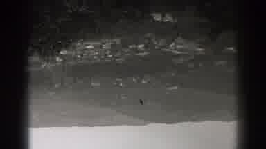 New Jersey (1938): Nature Does Not Look Very Appealing At Night Quiet And Conley
