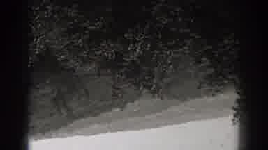 New Jersey (1938): Mystery Dark Hue Trees Slow Unsolved UFO Alien Shadow Stunning