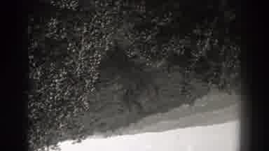 New Jersey (1938): Upside Down Footage Of Mountainous Area With Trees And Shrubs
