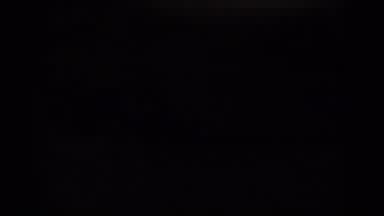New Jersey (1938): Dark Trees Outside Of An End Scene