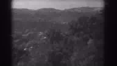 Vineland New Jersey-1938: Black And White Video Shows An Area Of Plants And Mountains