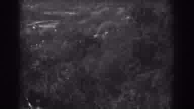 Vineland New Jersey (1938): A Beautiful Day In The Jungle Away From Everything And