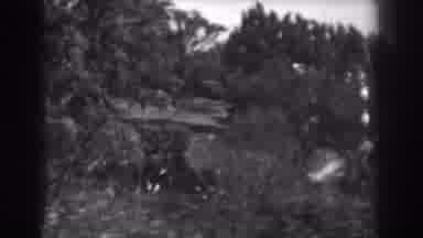 Vineland New Jersey (1938): Mountainous Landscape Shown In Black And White
