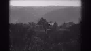 Vineland New Jersey (1938): A Beautiful View Of Nature With Trees Rolling Hill