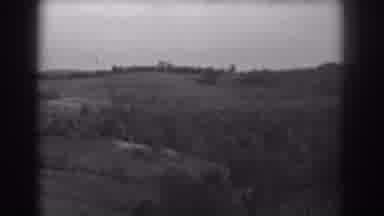 Vineland New Jersey (1938): The Camera Captures The Field Full Of Grass And Trees