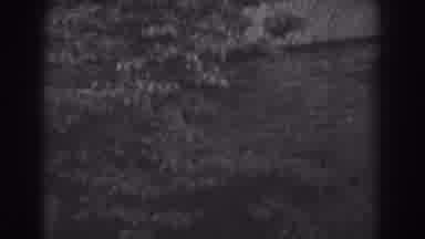 Vineland New Jersey (1938): Brick Building With Foliage Attached And A Doorway