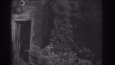 Vineland New Jersey (1938): Door Of Old House With Plants Growing Over The Walls