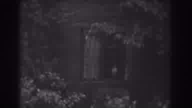 Vineland New Jersey (1938): View Of Trees Growing Over A Dark Wooden House Window