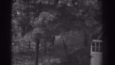 Vineland New Jersey (1938): View Of Trees And White Open Shed Doors On A Clear Day