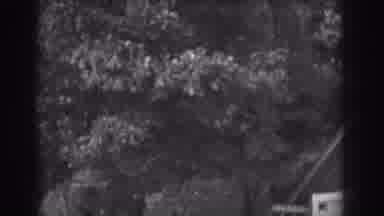 Vineland New Jersey (1938): Strong Wind Blowing Through Trees Near A House