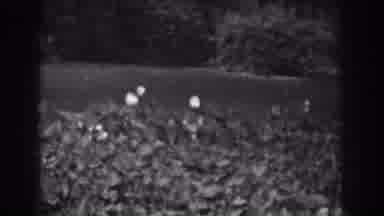 Vineland New Jersey (1938): A Tiny Secluded Lake Hidden Behind Cliffs Trees And